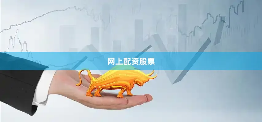 网上配资股票