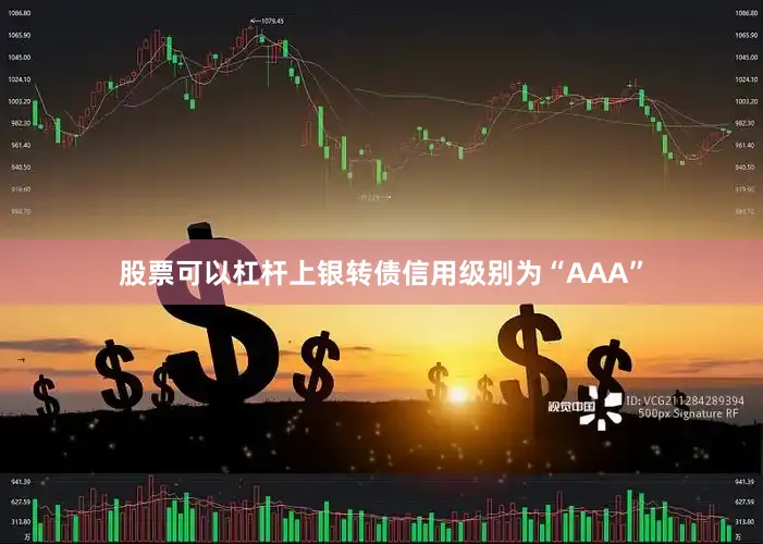 股票可以杠杆上银转债信用级别为“AAA”