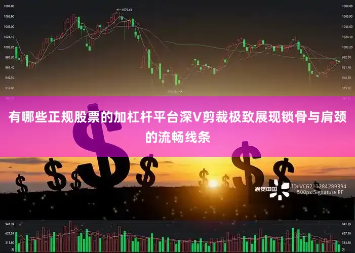 有哪些正规股票的加杠杆平台深V剪裁极致展现锁骨与肩颈的流畅线条